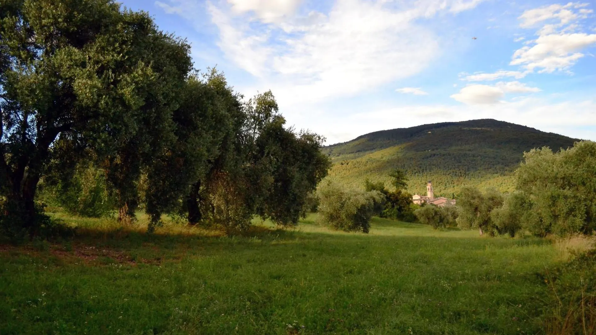 Il Rovero Castion Veronese