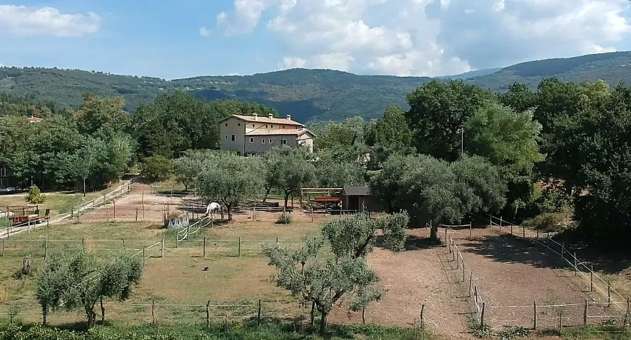 Il Rovero Castion Veronese Lejlighed